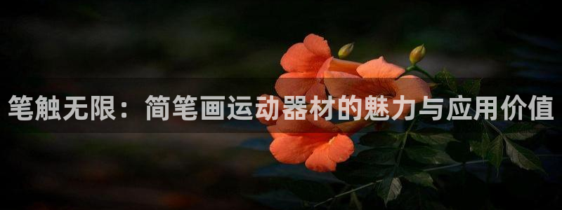 凯捷体育招商:笔触无限:简笔画运动器材的魅力与应用价值