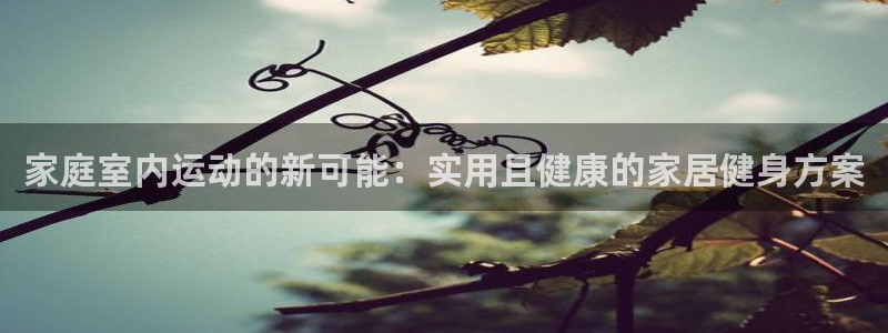 凯捷体育官方客服电话:家庭室内运动的新可能:实用且健康的家居