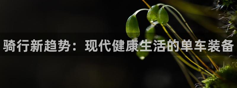 意昂集团官网:骑行新趋势:现代健康生活的单车装备