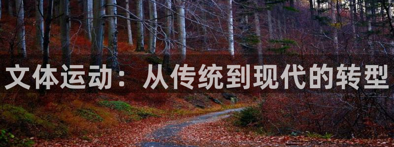 意昂平台体育:文体运动:从传统到现代的转型