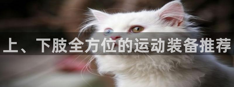 凯捷体育娱乐:上、下肢全方位的运动装备推荐