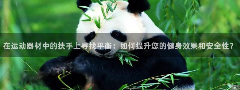 凯捷体育集团:在运动器材中的扶手上寻找平衡:如何提升您的健身