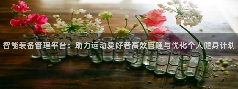 意昂集团官网:智能装备管理平台:助力运动爱好者高效管理与优化