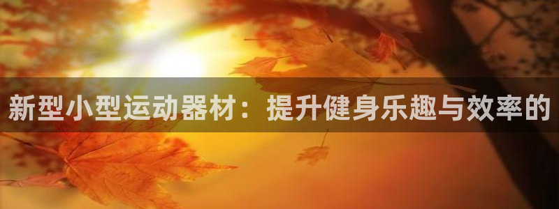 凯捷体育开户:新型小型运动器材:提升健身乐趣与效率的