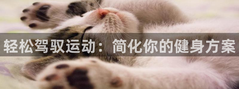 凯捷体育新能源:轻松驾驭运动:简化你的健身方案